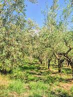 La Casa Monte Oliveto