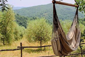 Podere tra gli Ulivi