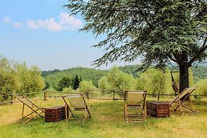Podere tra gli Ulivi