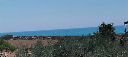 Villa Rosy