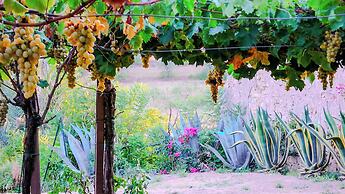 Tenuta Bartoli