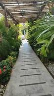 Gran Palma