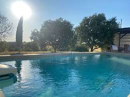PROVENCE DODO