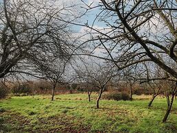 Little Poppes Lawn