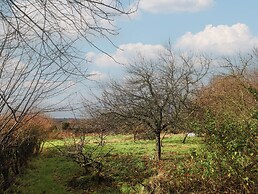 Little Poppes Lawn