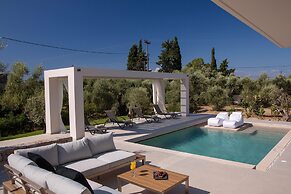 Olive Green Villas