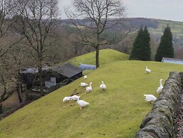 Victoria Wood View