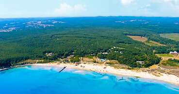 Forest Beach Hotel