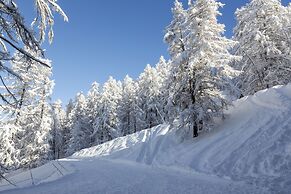 SOWELL HÔTELS L'Alpe Blanche