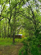 Les Bois de Morphée