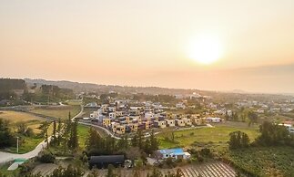 Jeju Calma