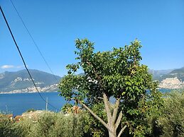 Appartamenti Albatros