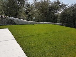 Appartamenti Albatros