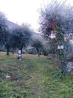 Appartamenti Albatros