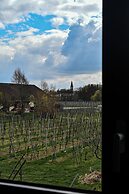 Les Appartements du Vignoble