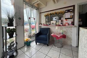 Anhinga Motel Homestead Fl