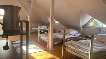 House Of Binici