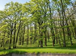 Romantic Apartment in Hambachtal Holiday Park