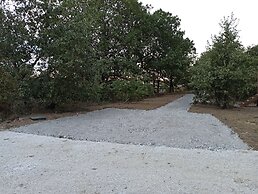 Studnature Dunes