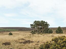 The Calf House