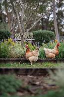The Woods Farm