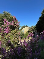 Mas Provençal à flanc de colline