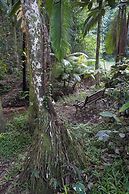Finch Falls Retreat