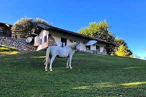 Tenuta Valdomini