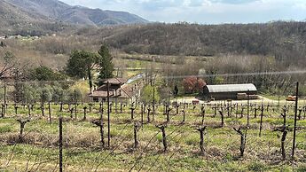 Tenuta Valdomini