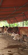 Farm Shaala
