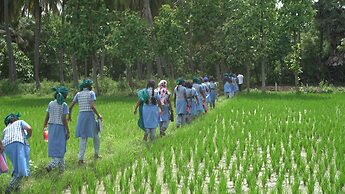 Farm Shaala