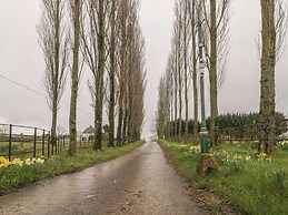 The Stables