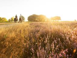Drenthe Wellness Lodge for 4