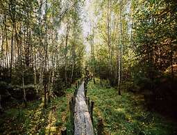 Drenthe Wellness Lodge for 4