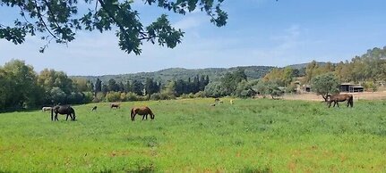 Agriturismo Tenuta il Solengo