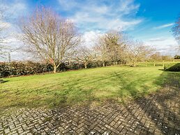 Cherry Trees
