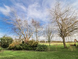 Cherry Trees