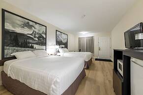Super 8 By Wyndham Golden