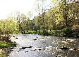 Ferienhaus Allrode mit Wellness