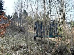 Ferienhaus Allrode mit Wellness
