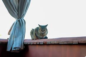Riad Allal