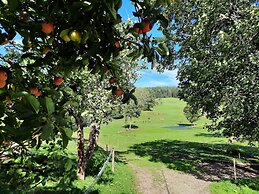 Sugar Farm Weideblick