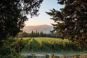 azienda agricola pandolfa