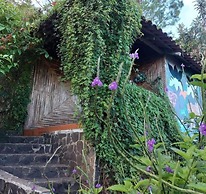 Finca Neblina del Bosque