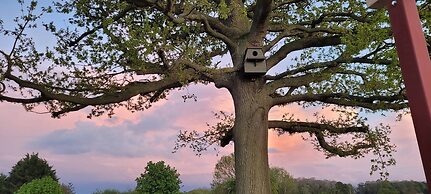The Acorn - Roudham Norwich