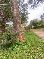 Nature Flows Eco-farm Cottage & campsite