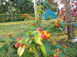 Nature Flows Eco-farm Cottage & campsite