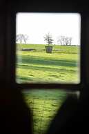 The Hollow Bottom