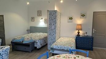 gite le Petit Luberon  Lisianthus