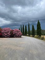 Ghiaccio Bosco Capalbio